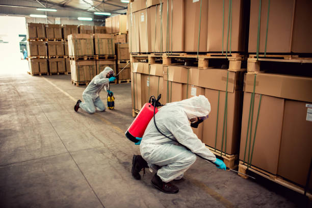 Best Bed Bug Extermination  in San Marcos, CA