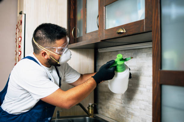 Reliable San Marcos, CA Pest Control Solutions