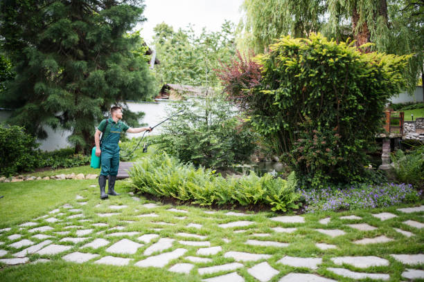 Best Insect Control  in San Marcos, CA