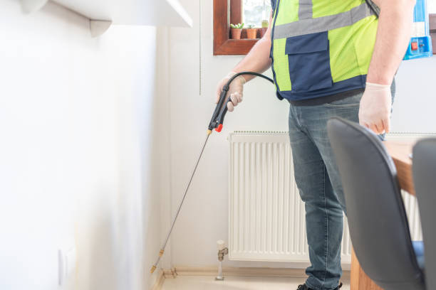 Best Pest Control for Homes  in San Marcos, CA