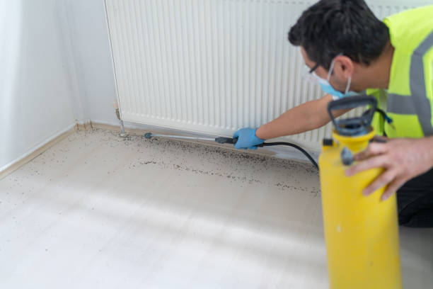 Best Mosquito Control Services  in San Marcos, CA